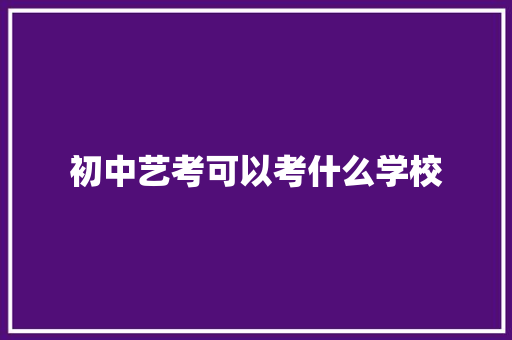 初中艺考可以考什么学校