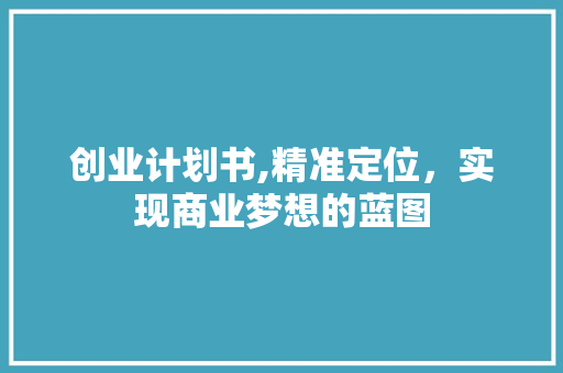创业计划书,精准定位，实现商业梦想的蓝图