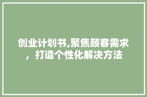 创业计划书,聚焦顾客需求，打造个性化解决方法