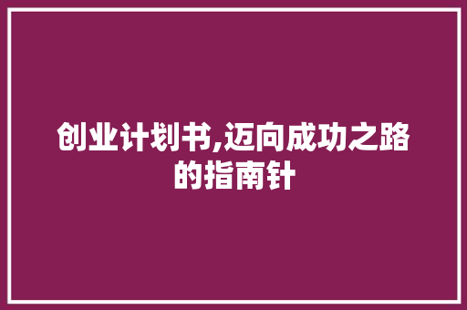 创业计划书,迈向成功之路的指南针