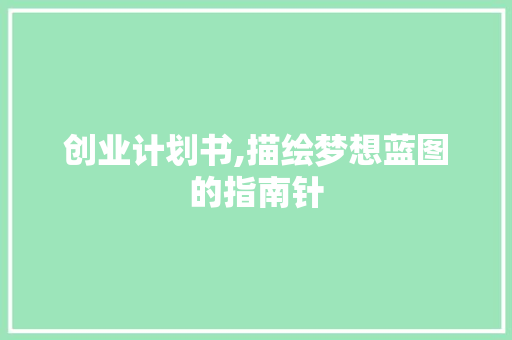 创业计划书,描绘梦想蓝图的指南针