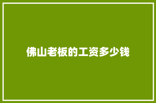 佛山老板的工资多少钱