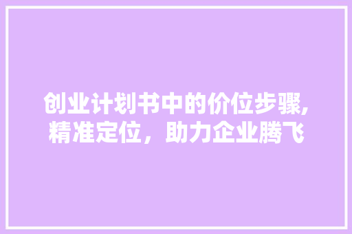 创业计划书中的价位步骤,精准定位，助力企业腾飞
