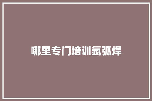 哪里专门培训氩弧焊