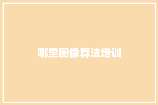 哪里图像算法培训