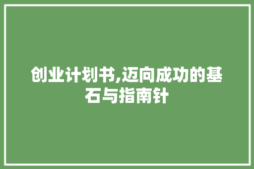 创业计划书,迈向成功的基石与指南针