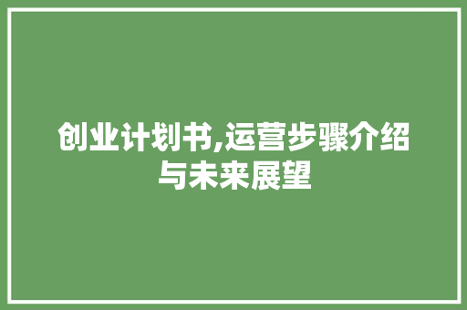 创业计划书,运营步骤介绍与未来展望