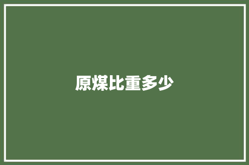 原煤比重多少