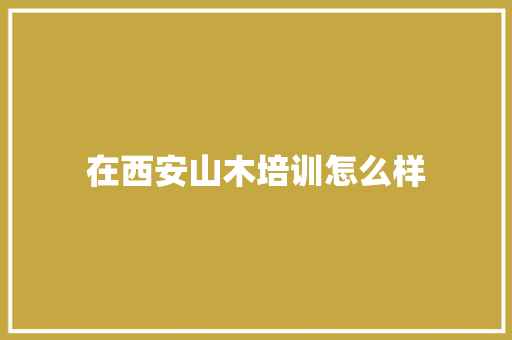 在西安山木培训怎么样
