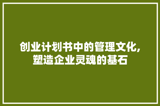创业计划书中的管理文化,塑造企业灵魂的基石