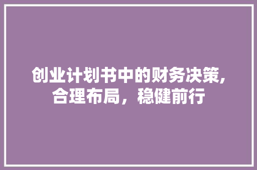 创业计划书中的财务决策,合理布局，稳健前行