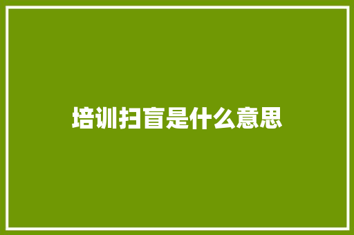 培训扫盲是什么意思