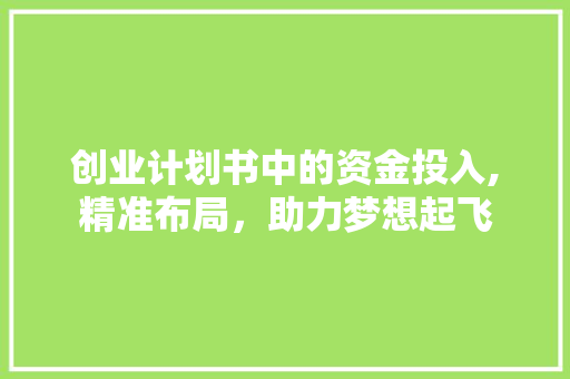 创业计划书中的资金投入,精准布局，助力梦想起飞