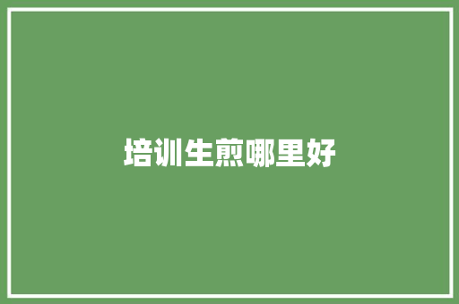 培训生煎哪里好