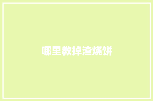 哪里教掉渣烧饼