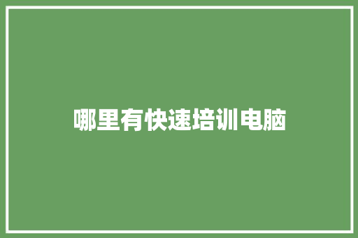 哪里有快速培训电脑