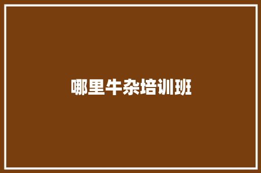 哪里牛杂培训班