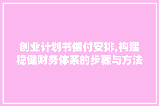 创业计划书偿付安排,构建稳健财务体系的步骤与方法