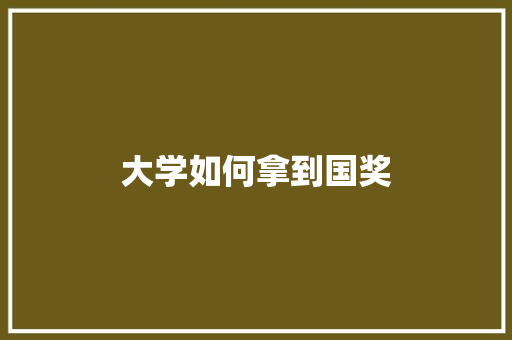 大学如何拿到国奖