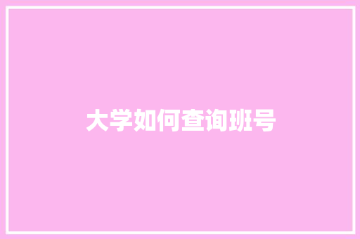大学如何查询班号