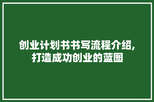 创业计划书书写流程介绍,打造成功创业的蓝图