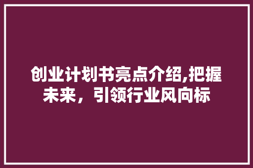 创业计划书亮点介绍,把握未来，引领行业风向标