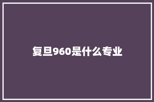 复旦960是什么专业