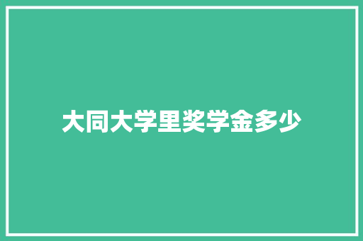 大同大学里奖学金多少