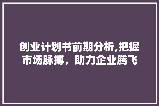 创业计划书前期分析,把握市场脉搏，助力企业腾飞
