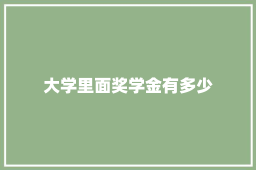 大学里面奖学金有多少 职场应用