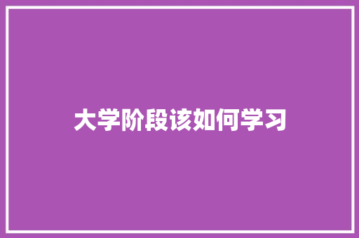 大学阶段该如何学习