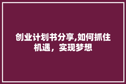 创业计划书分享,如何抓住机遇，实现梦想