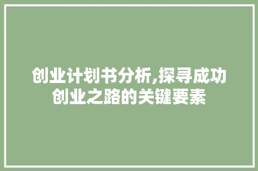 创业计划书分析,探寻成功创业之路的关键要素