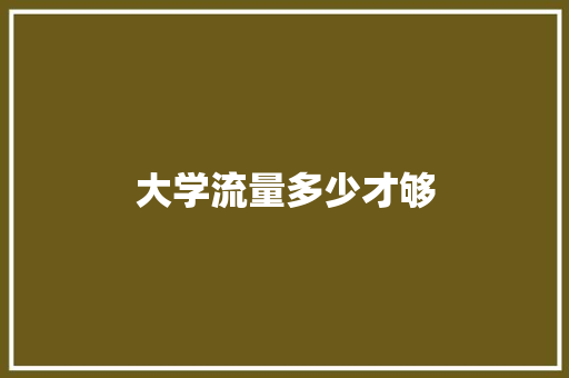 大学流量多少才够