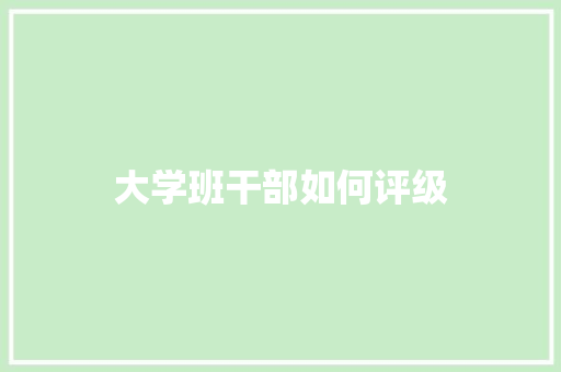 大学班干部如何评级