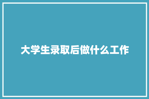 大学生录取后做什么工作