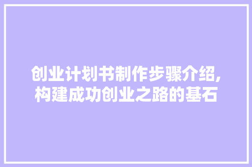 创业计划书制作步骤介绍,构建成功创业之路的基石