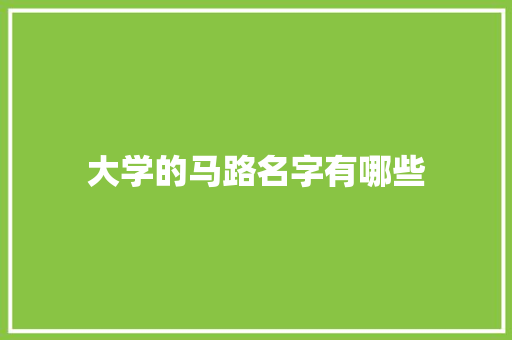大学的马路名字有哪些