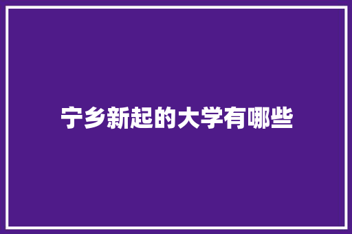 宁乡新起的大学有哪些