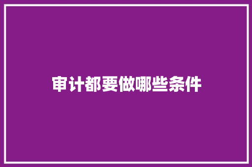 审计都要做哪些条件