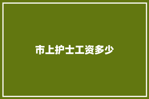 市上护士工资多少