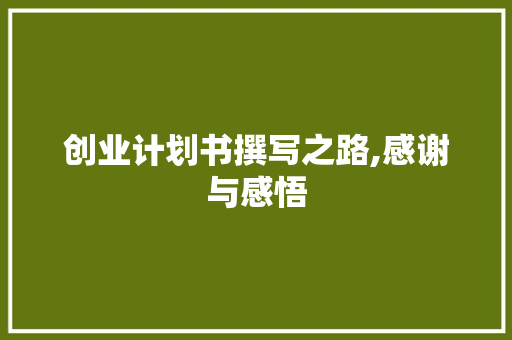 创业计划书撰写之路,感谢与感悟