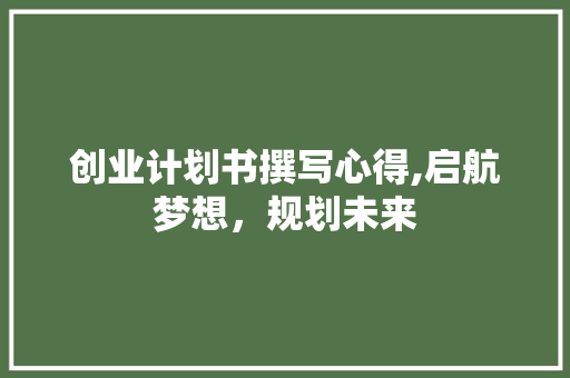 创业计划书撰写心得,启航梦想，规划未来