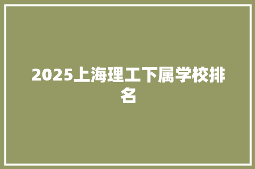 2025上海理工下属学校排名