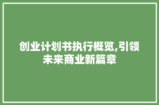 创业计划书执行概览,引领未来商业新篇章