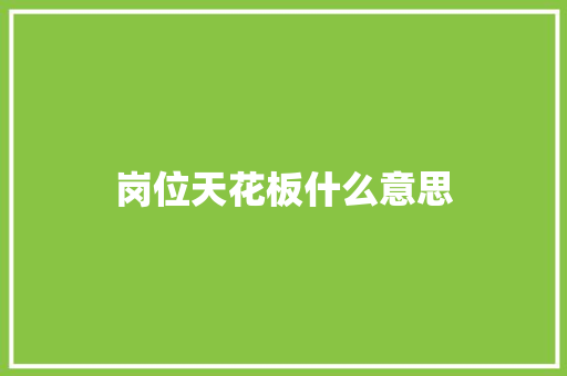 岗位天花板什么意思