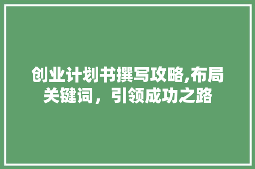 创业计划书撰写攻略,布局关键词，引领成功之路