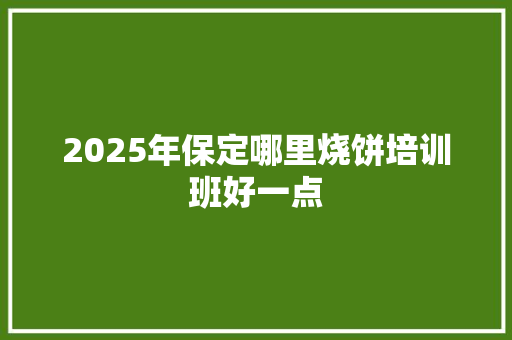 2025年保定哪里烧饼培训班好一点
