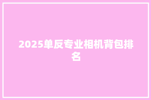 2025单反专业相机背包排名