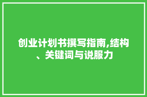 创业计划书撰写指南,结构、关键词与说服力